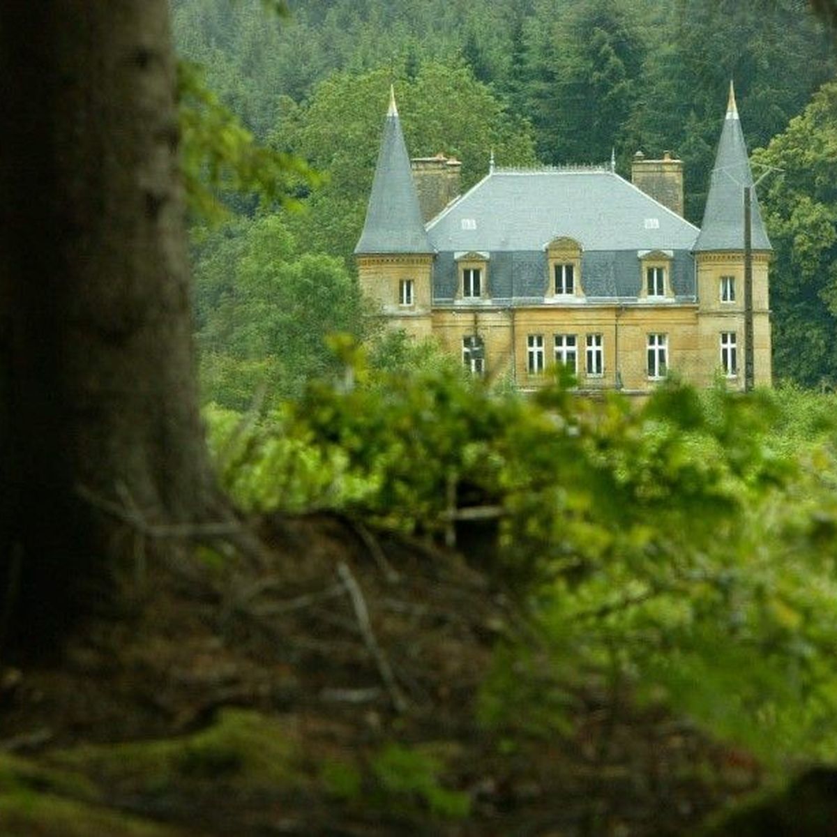 Affaire Estelle Mouzin Arret Des Fouilles Au Chateau Du Sautou Dans Les Ardennes