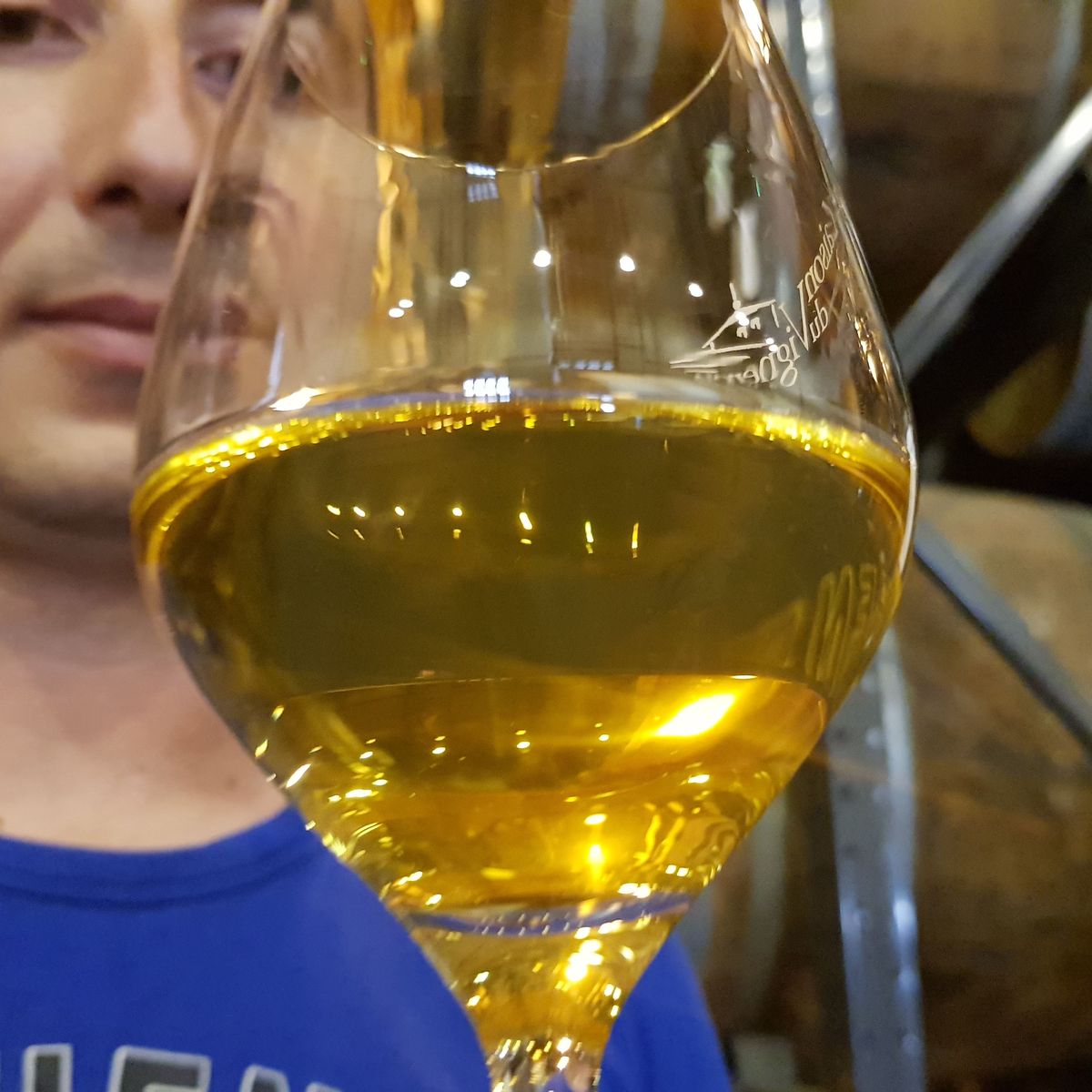 Partez à la découverte des vins jaunes du Jura