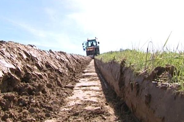 Les agriculteurs de l'Ain survolent la compétition.