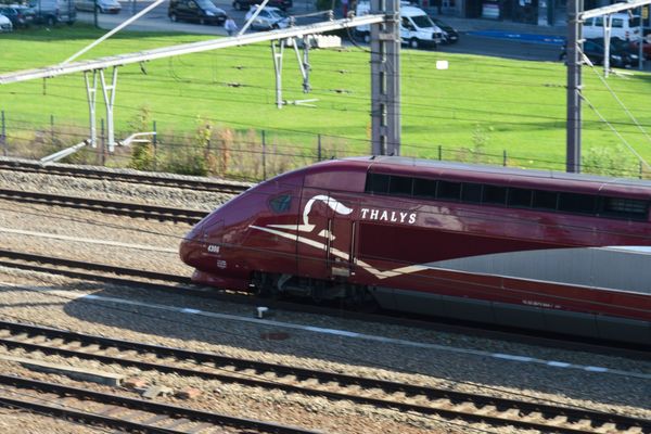 Un Thalys reliant Paris à Amsterdam a percuté une personne à Hallencourt, ce 21 octobre 2019.