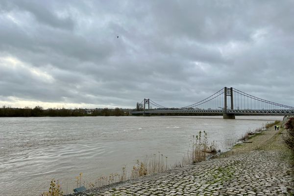 La Loire en hiver à Ancenis