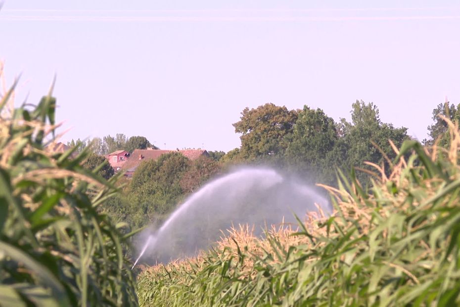 Drought.  New water restriction measures adopted by the prefecture this Friday