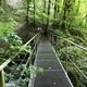 Sentierde randonnée le long des les Gorges de Noailles qui conduisent à la source de la Loue à Mouthier-Haute-Pierre (Doubs).