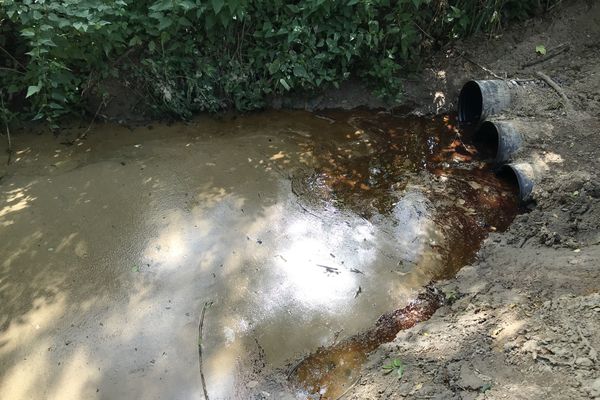 Le ruisseau de L'Orcerie pollué après l'incendie d'un poids lourd sur l'A83, le 18 juillet 2020