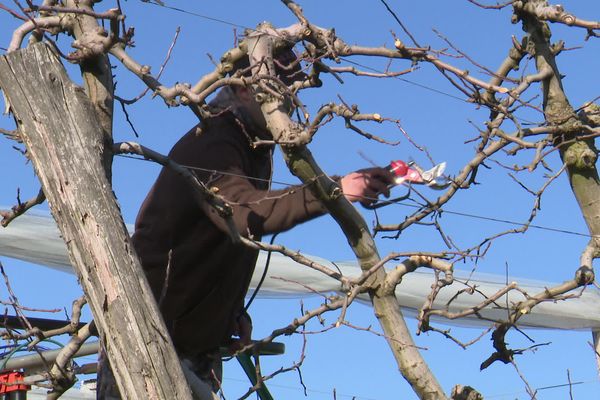 Les exploitations agricoles en manque de main d'œuvre en Haute-Vienne - 18/02/23 -