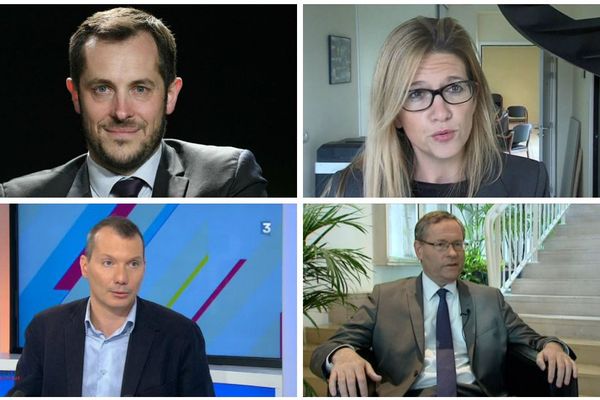 Dans le sens contraire des aiguilles d'une : Nicolas Bay (RN), Stéphanie Yon-Courtin (LREM-Modem), Gilles Lebreton (RN) et David Cormand (EELV). Tous les quatre siégeront au parlement européen. 