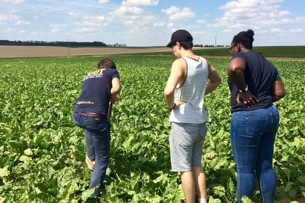 L'entreprise Agriconomie a été récompenser pour son travail sur 12 marques déposées