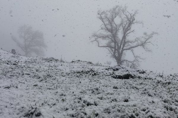 La neige tombe depuis 9 heures ce matin.