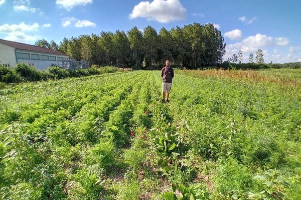 Geoffroy sur une parcelle du GFA des "Champs Vivants" à Arc-sur-Tille, sur laquelle il s'apprête à cultiver ses légumes