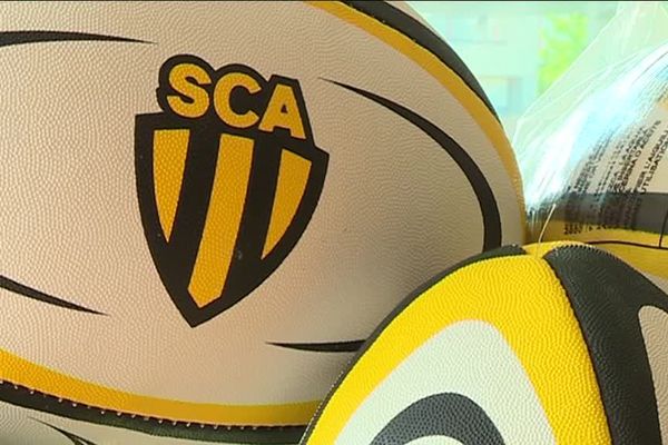 Actuellement en Fédérale 1, l'équipe professionnelle de rugby d'Albi espère remonter à l'échelon supérieur mais elle a perdu ses deux derniers match de championnat.