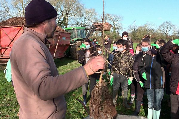 Des arbres sont plantés par des enfants chez les agriculteurs en Vendée, janvier 2022