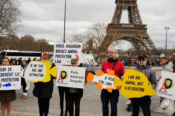 Ce jeudi, des membres de PAZ étaient réunis à Paris pour protester contre la tenue de la soirée discothèque de l'Aquarium de Paris pour le 31 décembre.