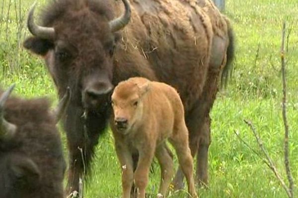 Bisonneau et sa maman 