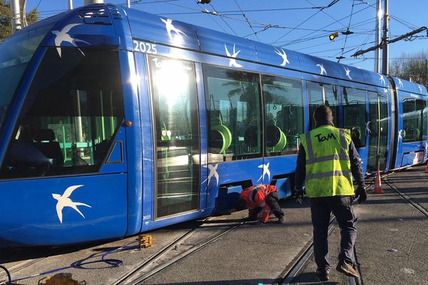 Le tramway de la ligne 1 a déraillé ce mardi matin aux alentours de 9h - 30 janvier 2018