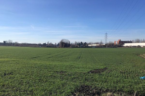 La septuagénaire a été tué dans ce champ, en février dernier, à Hellemmes.