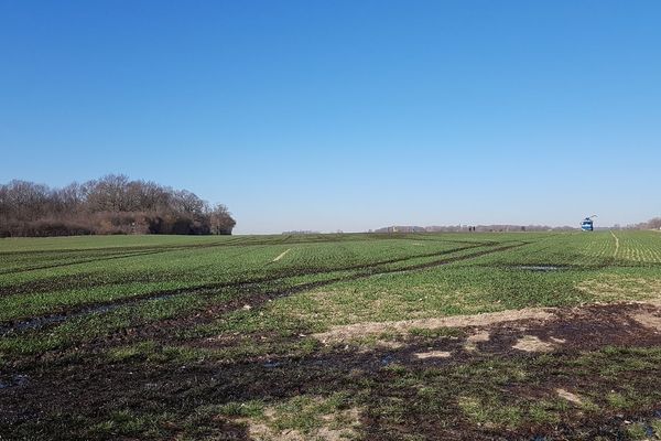 Un des champs où du pétrole brut s'est répandu après une fuite du pipeline d'Île-de-France.