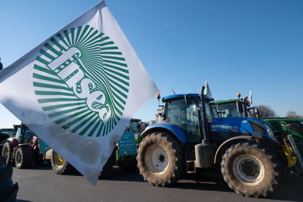 Drapeaux avec le logo de la FNSEA lors d'une manifestation à Paris.