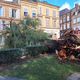 L'arbre ombrageait la rue des Liégeois depuis des décennies.