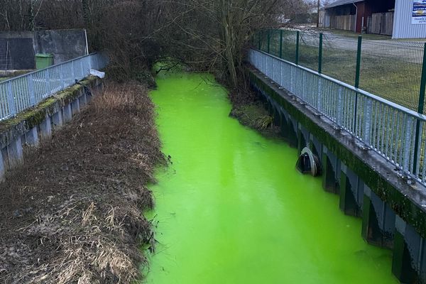 L'Ornel, un cours d'eau qui traverse Saint-Dizier en Haute-Marne s'est teinté de vert fluorescent ce mercredi 7 février 2024.