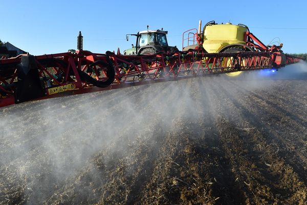 Vent debout l'instauration des ZNT, des agriculteurs d'une vingtaine de départements (dont ceux des Hauts-de-France) allumeront des feux près des grands axes routiers.