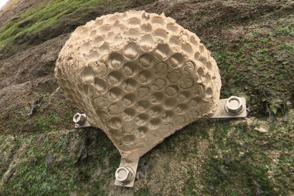 24 rockpools installées à Ouistreham