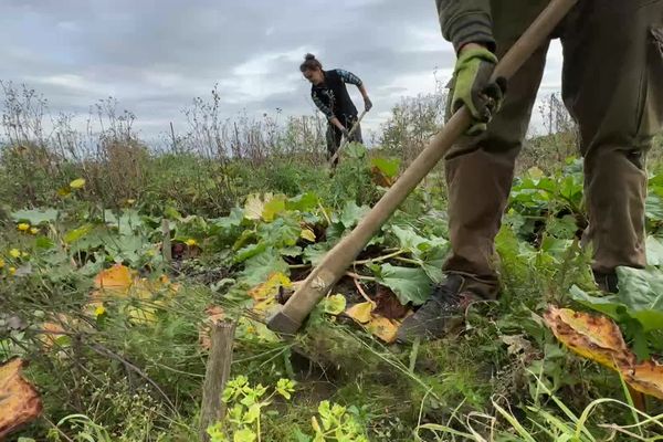 Depuis trois ans, Eloïse gère ls ferme de 4 hectares sans aucun usage de produits phytosanitaires.