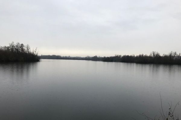 Des cygnes ont été retrouvés morts à Fraimbois fin novembre. Une forte suspicion de grippe aviaire est avancée par la préfecture de Meurthe-et-Moselle.