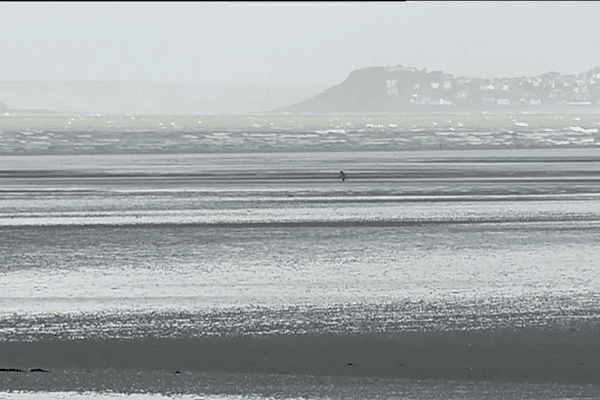 Plage de Saint-Laurent à Plérin (22)