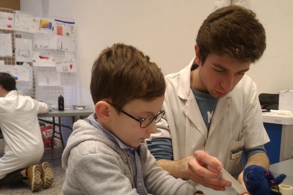 L'hôpital des nounours accueillera cette semaine 160 enfants de l'agglomération caennaise