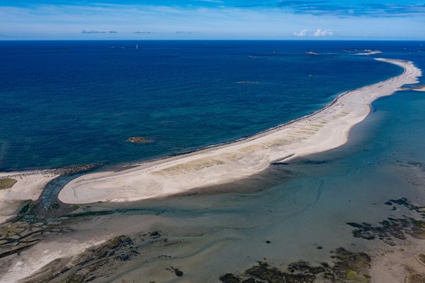 Le curieux sillon de Talbert, classé réserve naturelle à Pleubian (Côtes d'Armor)