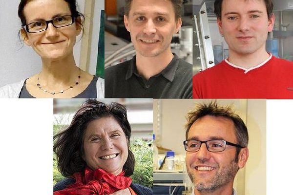 Sophie BRASSELET, médaille d'argent, Chercheuse en physique optique / David GROJO, Chercheur en optique laser, Vincent FOURMOND, Chercheur en biophysique et biochimie et Bertrand COSTE, Chercheur en neurobiologie, médailles de bronze / Véronique GINOUVÈS, Ingénieure de recherche, responsable de la Phonothèque de la Maison méditerranéenne des sciences de l’Homme
