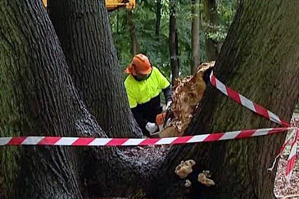 La forêt de Montgeon est fermée pour cause de travaux.