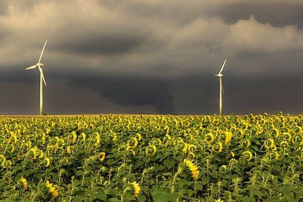 Le soleil est moins vaillant, l'orage guette.