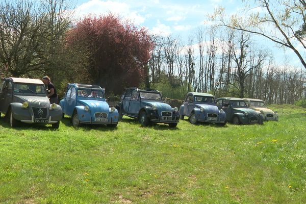 Des deux chevaux prêtes pour la compétition