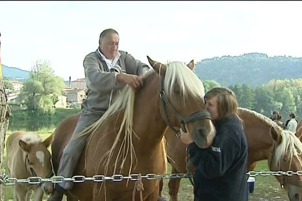 Le concours permet de sélectionner les 20 chevaux qui iront représenter la Haute-Loire à Cournon.