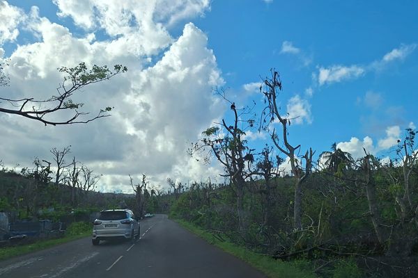 Le cyclone Chido a dévasté l'ile de Mayotte