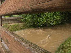 Les orages du mardi 25 juin n'ont pas fait de victimes, mais d'importants dégâts sont encore visibles dans le sud-ouest du département.