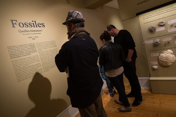 Nuit Européenne des Musées, Musée d'art et d'Histoire de Beurnier-Rossel à Montbéliard (Doubs)