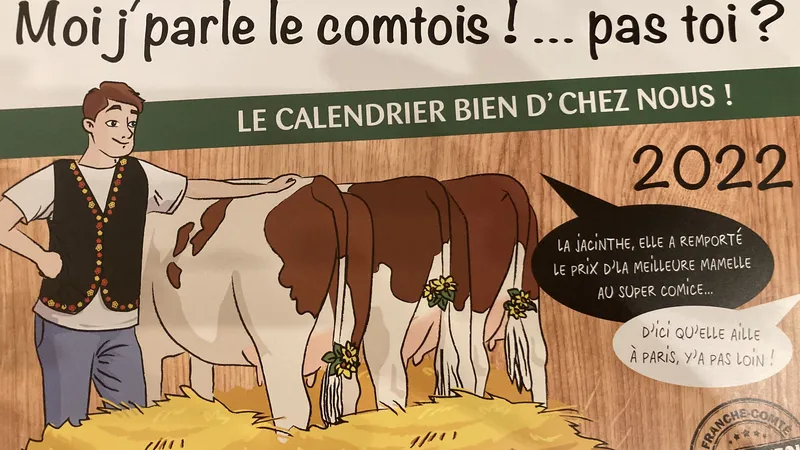 Ornans. Un calendrier plein d'humour avec les femmes du monde agricole