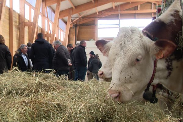 En Lozère, les syndicats agricoles invitent les patrons des supermarchés sur des exploitations. Jeudi 22 février 2024.