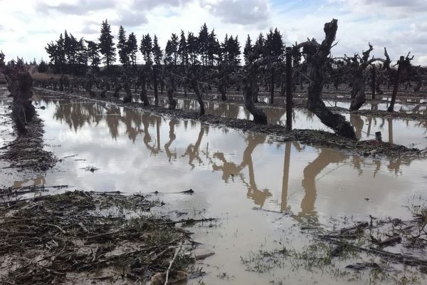 Un violent orage de grêle s'est abattu hier en fin d'après-midi entre Remoulins (Gard) et Tarascon. De quoi inquiéter les viticulteurs et les arboriculteurs. Ce matin, ils respirent. Plus de peur que de mal.