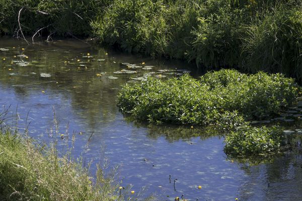 Des eaux de bonne qualité en Auvergne Rhône Alpes en 2024