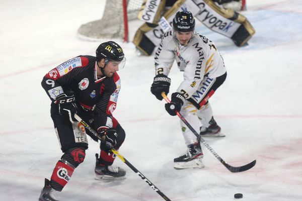 L'attaquant des Gothiques Francis Drolet (à gauche), lors du match contre les Dragons de Rouen, le 17 janvier au Coliseum d'Amiens. 