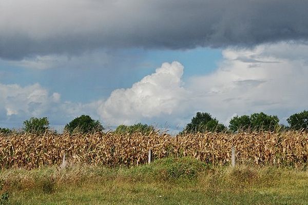 Un ciel entre nuages et éclaircies