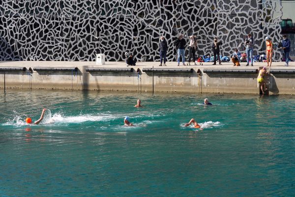 L'association des "libres nageurs" avait déjà fait trempette près du Mucem, le 1er mars 2023.