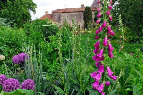 A découvrir ce week-end le jardin du prieuré de Laverré à Aslonnes dans la Vienne.