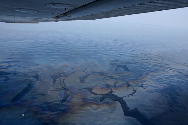 Pollution: la nappe de pétrole s’étire sur plusieurs kilomètres sur la côte ouest de l’île entre l’étang de Diana et le port de Solenzara dans le sud.