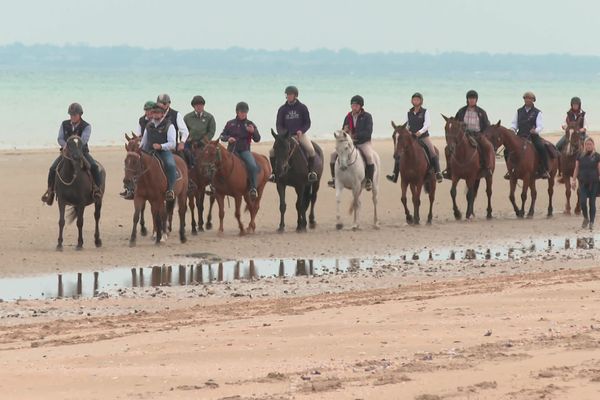 L'équithérapie pour soigner les maux des vétérans des conflits modernes. La Fondation américaine, Equine Immersion, vient en aide à ces anciens soldats victimes de syndromes post-traumatiques. Plusieurs d'entre eux ont pu se balader à cheval sur la mythique plage d'Utah Beach (Manche).