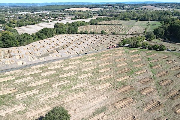 D'importantes tranchées à intervalle régulier sont apparues dans plusieurs champs de la commune de Soual dans le département du Tarn.