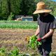 Dans les années 1970, le département des Alpes-Maritimes pouvait nourrir 70% de sa population. En 2006, ce taux est tombé à 25%. Aujourd'hui, l'autonomie alimentaire du département est de 1%.